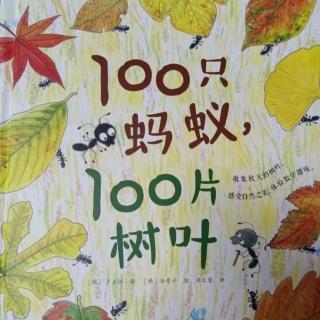 卡蒙加儿童之家张老师——《100只蚂蚁，100片树叶》