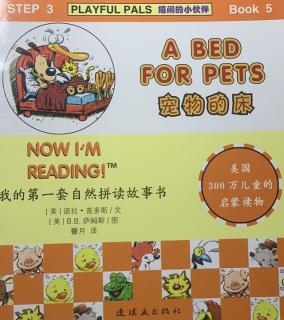 S3B5-A Bed For Pets