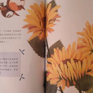 🐣《小麻雀和向日葵》🌻