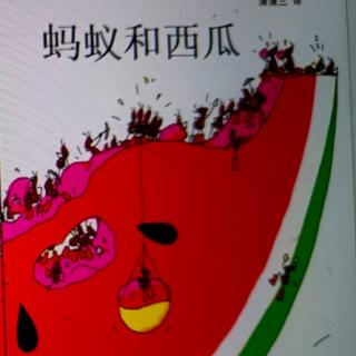 蚂蚁🐜和西瓜🍉