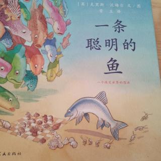 No.587《一条聪明的鱼》