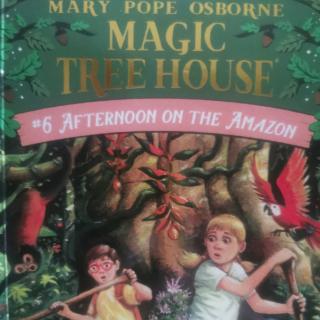 MAGIC TREE HOUSE AFTERNOON ON THE AMAZON4