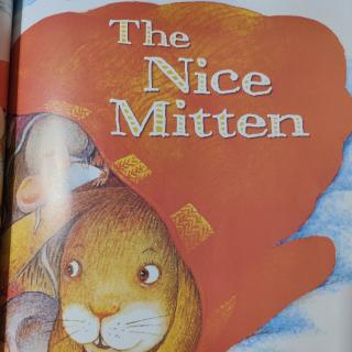 The nice mitten