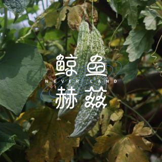 Vol.70 苦有那么难吃吗？