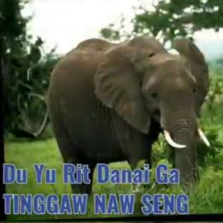 Du Yu Rit Danai Ga
VoL~Tinggaw Naw Seng