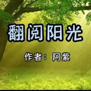 翻阅阳光  作者阿紫