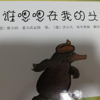 绘本故事《是谁嗯嗯在我的头上》