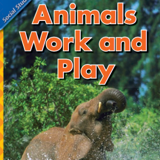 【SF分级精读】GK-1.5 Animals Work and Play
