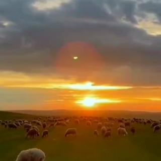 黄清宝《太阳说》诵读：笑颜