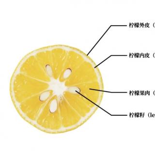 经常喝柠檬水，身体会有什么变化