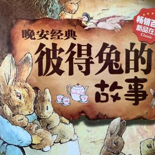 59 《小兔子本杰明的故事》