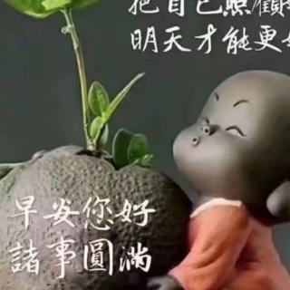 心语流淌
文/李曙阳朗诵沙漠玫瑰