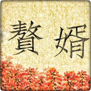 赘婿 313（上）二婚成亲