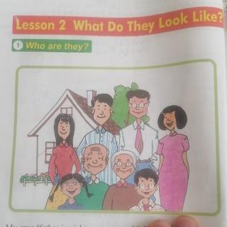 冀五上Lesson 2  What  Do  They  Look  Like?