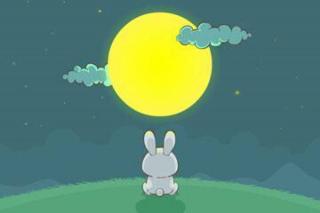 小兔子喜欢看月亮🌙