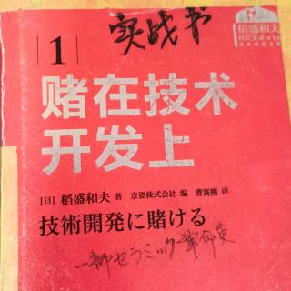 实行阶段，悲观地审视构想184