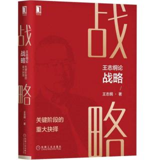 《王志纲论战略》前言