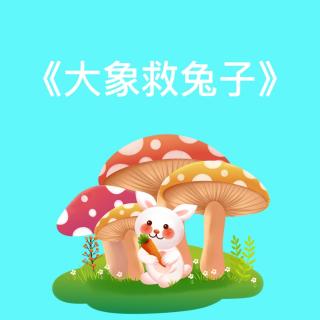 《大象救兔子》