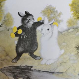幼专金海湾幼儿园郭老师—《黑兔和白兔》
