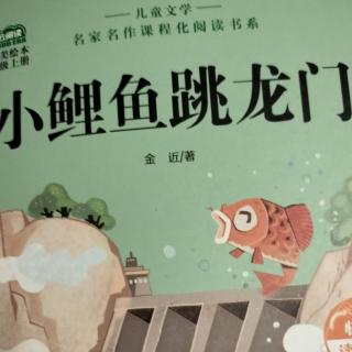《小鲤鱼跳龙门》（11—16）王金淳