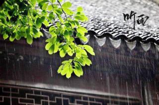 杨紫玉儿 ‖《听雨》 朗诵: 苡子