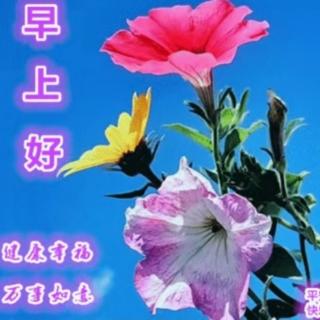 百合花之養(yǎng)生