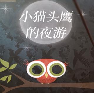 《小猫头鹰的夜游》