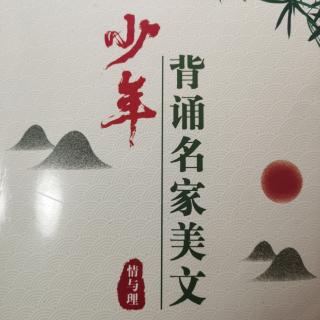 鼓楼上的麻雀