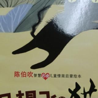 《一直想飞的猫》