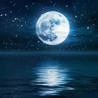 关于月亮最美的诗