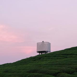 Check-in：到浮梁去重归夏日