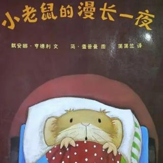 《小老鼠的漫长一夜》