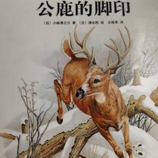 799《公鹿的脚印》