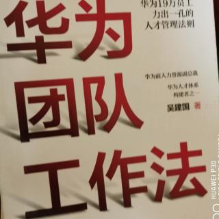 《华为》综合激励方案