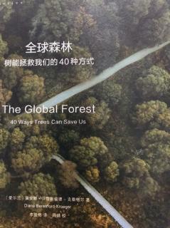 全球森林---全球森林的花