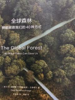 全球森林---全球变暖