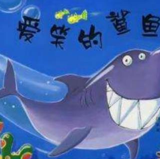 «爱笑的鲨鱼🦈»