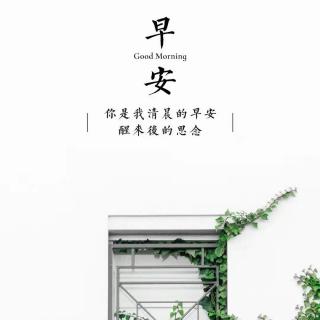 花落的声音　文　张爱玲