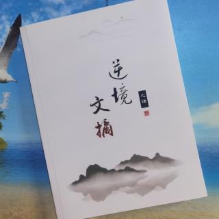 《逆境文摘》徐本亮：创建 学习型社会组织（2）