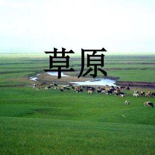 1草原