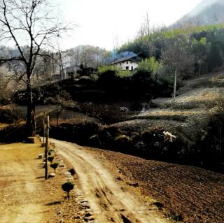 一个消逝了的山村    冯至