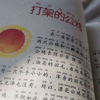 打架的公鸡