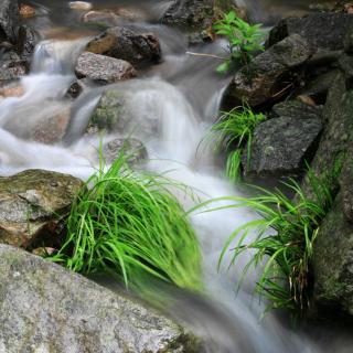 小溪流水