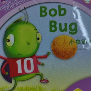 xiao_chong_bao_bo_bob_bug