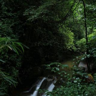 梦你的夜晚我不愿醒来□明月满秦川