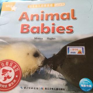 Animal babies