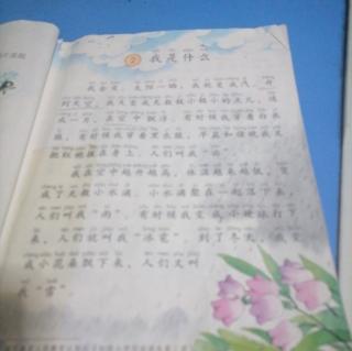 我是什么