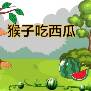 《猴子吃西瓜🍉》