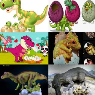 百科宝典【100】《恐龙如何生宝宝？》