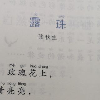 《露珠》